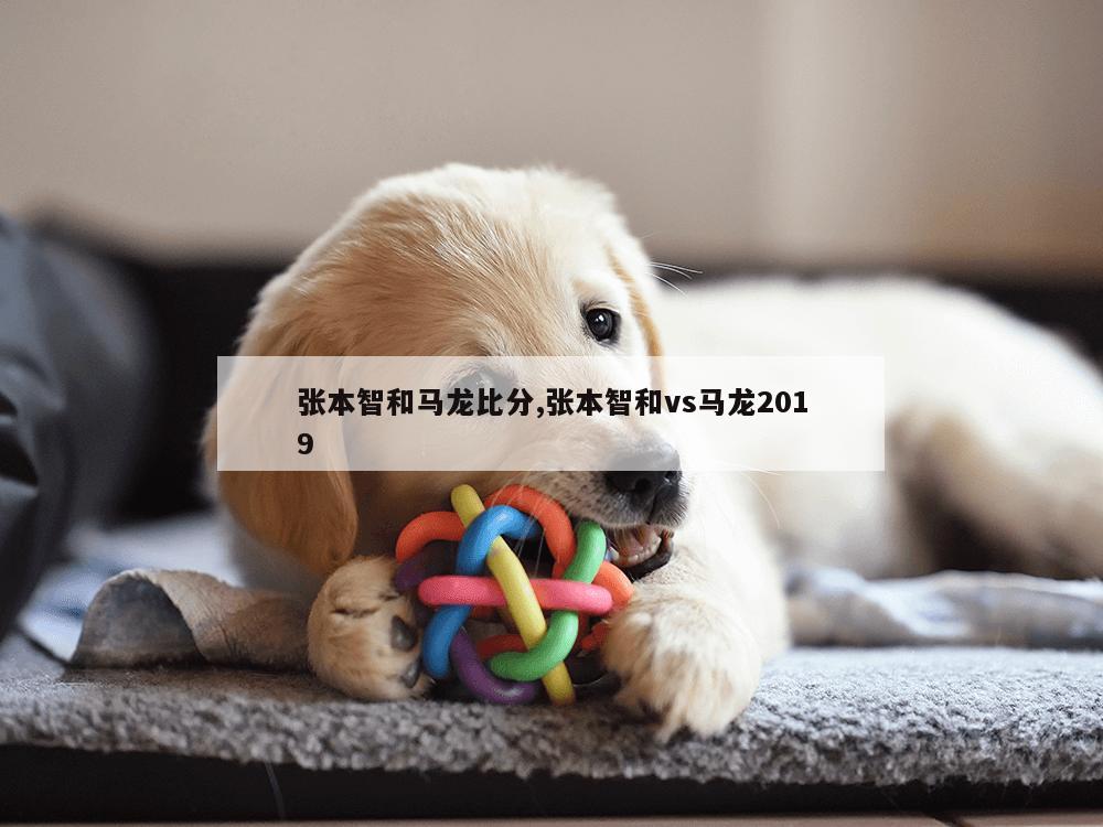 张本智和马龙比分,张本智和vs马龙2019