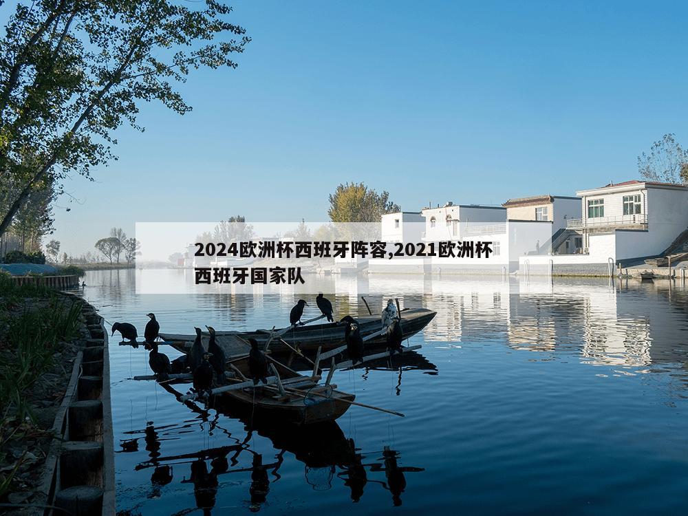 2024欧洲杯西班牙阵容,2021欧洲杯西班牙国家队