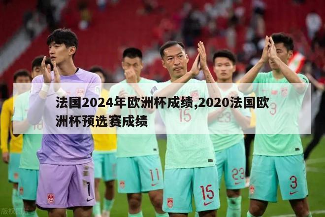 法国2024年欧洲杯成绩,2020法国欧洲杯预选赛成绩