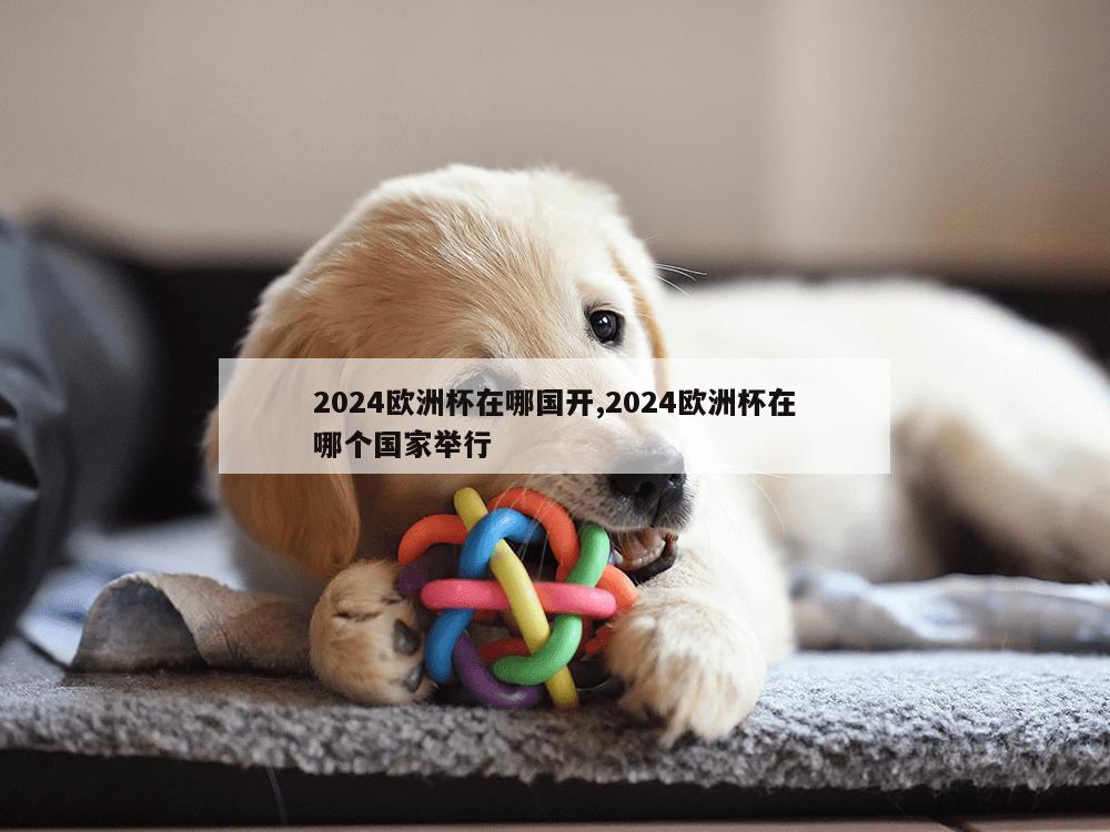 2024欧洲杯在哪国开,2024欧洲杯在哪个国家举行