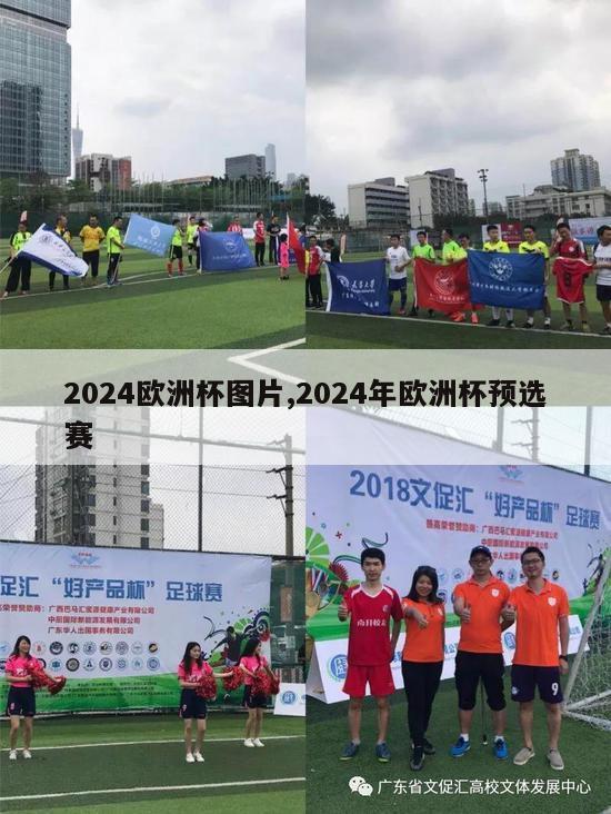 2024欧洲杯图片,2024年欧洲杯预选赛