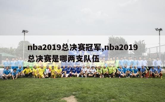 nba2019总决赛冠军,nba2019总决赛是哪两支队伍