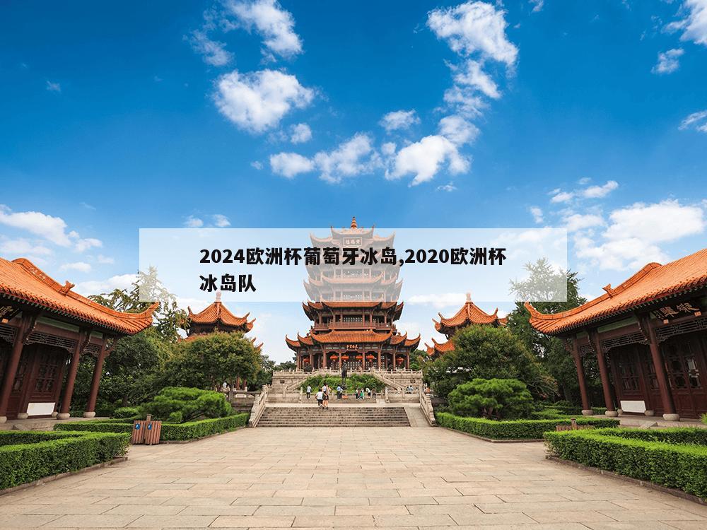 2024欧洲杯葡萄牙冰岛,2020欧洲杯冰岛队