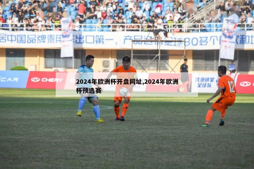 2024年欧洲杯开盘网址,2024年欧洲杯预选赛