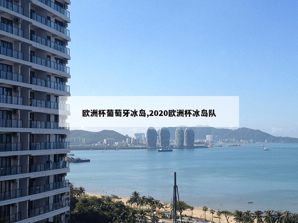 欧洲杯葡萄牙冰岛,2020欧洲杯冰岛队