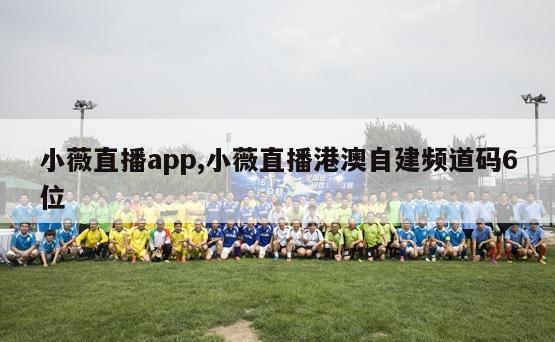 小薇直播app,小薇直播港澳自建频道码6位