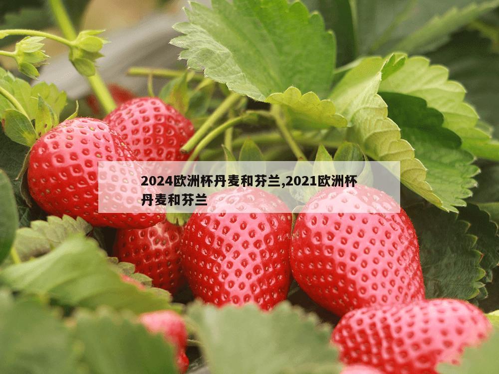 2024欧洲杯丹麦和芬兰,2021欧洲杯丹麦和芬兰